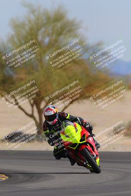 media/Nov-05-2022-SoCal Trackdays (Sat) [[f8d9b725ab]]/Turn 4 Tree of Life (125pm)/